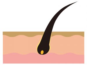 彼女と初めてセックスしたけど胸毛あって萎えた