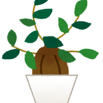 職場にめちゃキッショい植物があるんやが